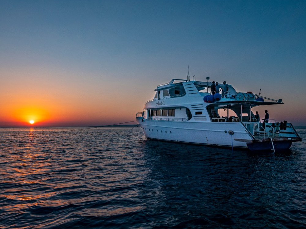 Overnight Sea Trip
